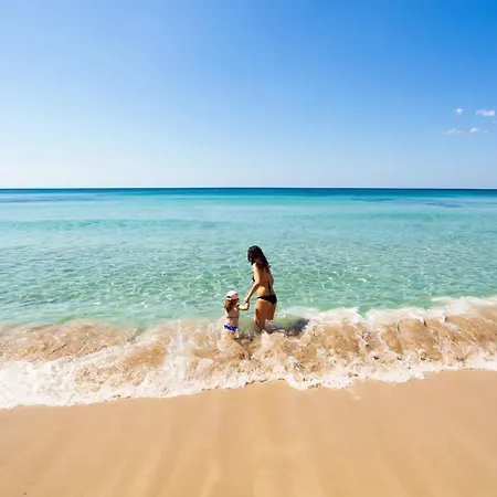 Sirena With Panoramic Terrace Holiday home *