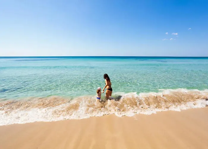 Sirena With Panoramic Terrace Holiday home *